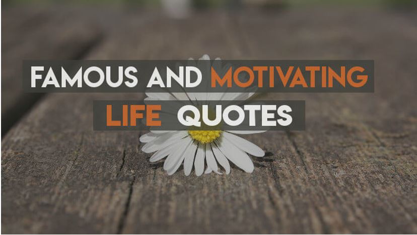 quotes will motivate you in successful